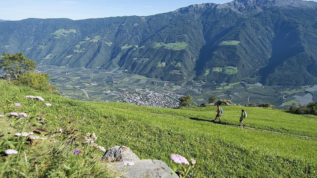 Escursione dei masi sul Monte Volpe